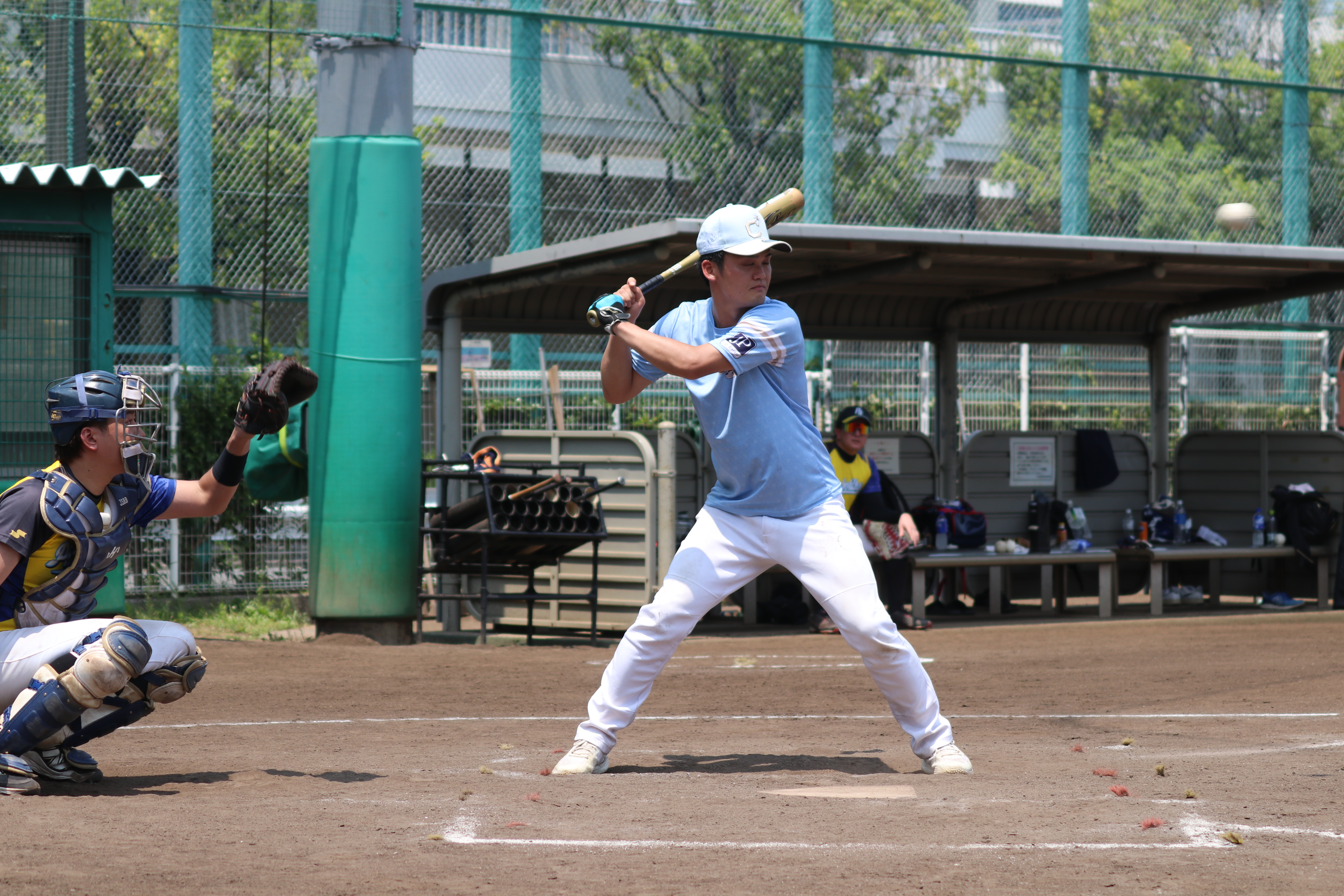 野球インフルエンサーあわちゃん